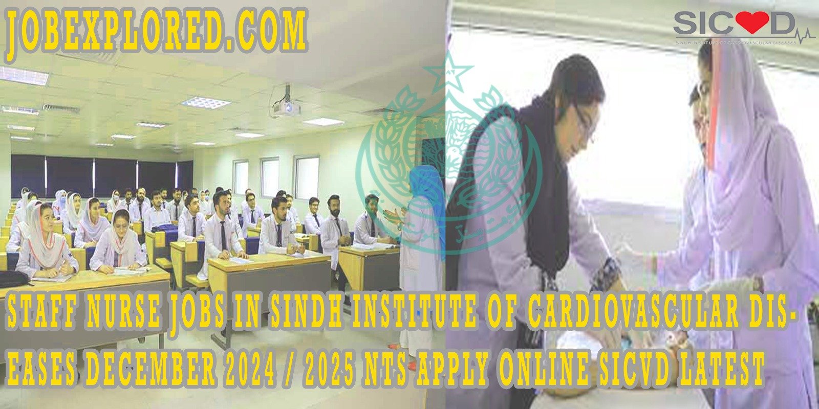 Staff Nurse Jobs at Sindh Institute of Cardiovascular Diseases: December 2024 / 2025 NTS Application Guide picture